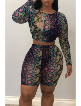 Lovely Casual Printed Multicolor Two-piece Shorts Set