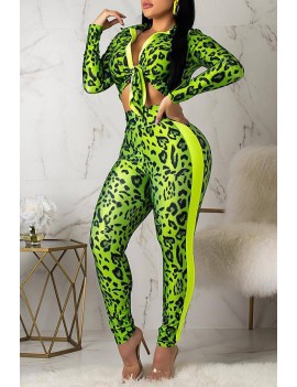 Lovely Casual Turndown Collar Printed Green Two-piece Pants Set