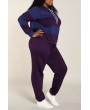 Lovely Casual Patchwork Purple Plus Size Two-piece Pants Set